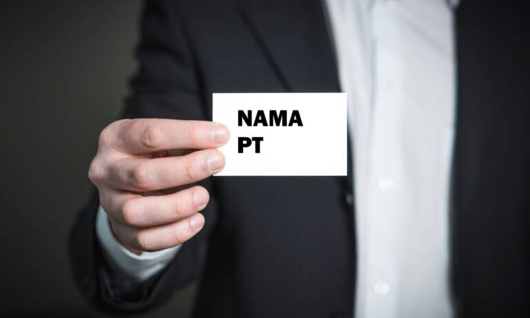 ketentuan nama PT
