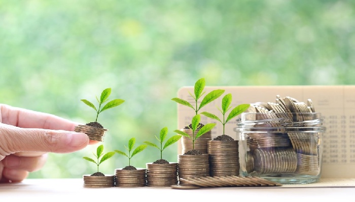 Penanaman modal dalam negeri