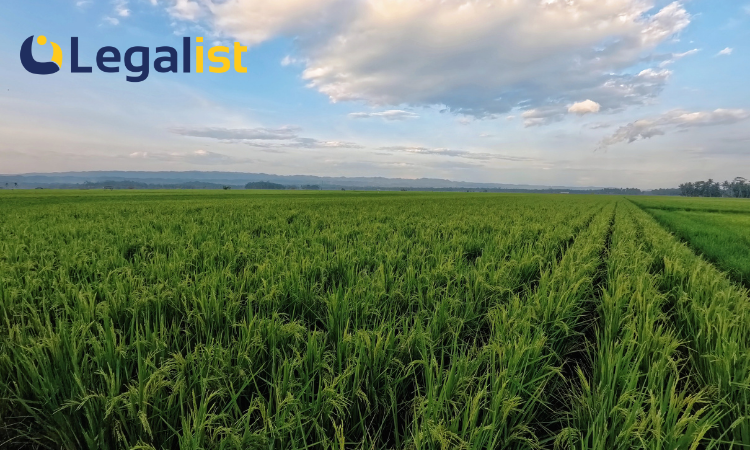 Jasa Pembuatan PT Kresek Legalist Indonesia