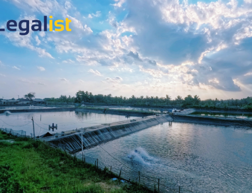 Jasa Pembuatan PT Mauk Tangerang: Legalitas Cepat & Terpercaya