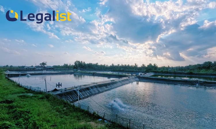 Jasa Pembuatan PT Mauk Legalist Indonesia Jasa Pembuatan PT Mauk Legalist Indonesia